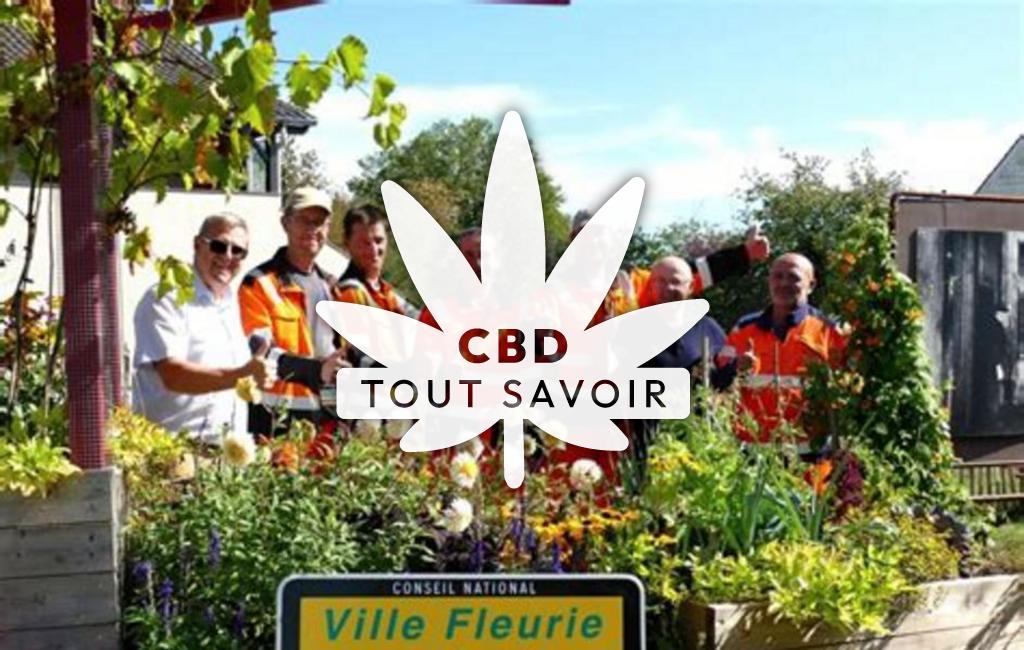 Village à Rouhling avec feuille Cannabis CBD