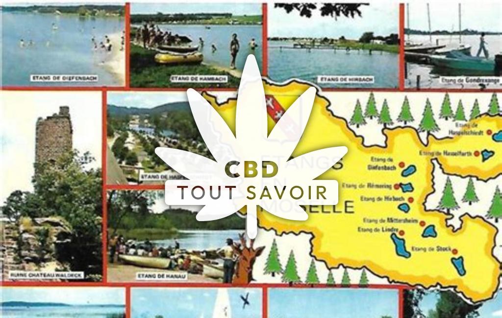 Village à Les-Etangs avec feuille Cannabis CBD