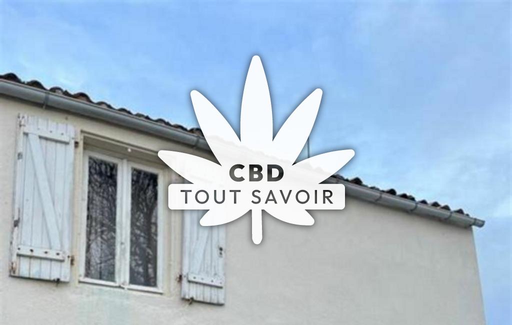 Village à Marsilly avec feuille Cannabis CBD