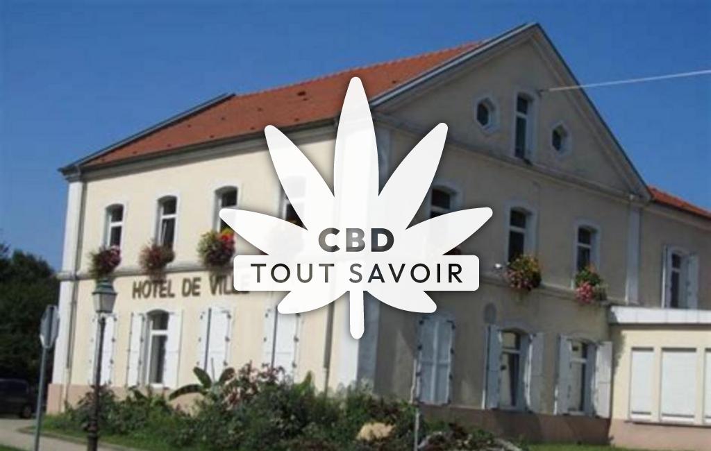 Village à Petite-Rosselle avec feuille Cannabis CBD