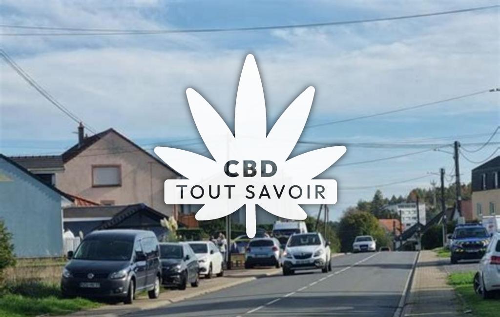 Village à Hargarten-aux-Mines avec feuille Cannabis CBD