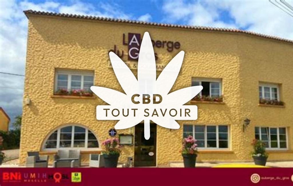 Village à Han-sur-Nied avec feuille Cannabis CBD