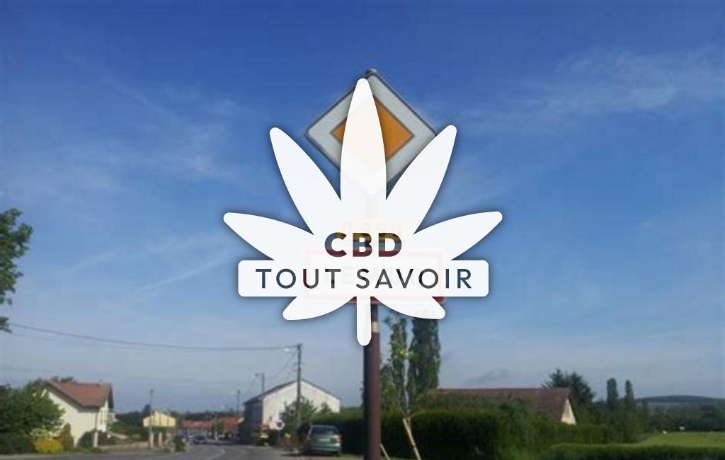 Village à Lemud avec feuille Cannabis CBD