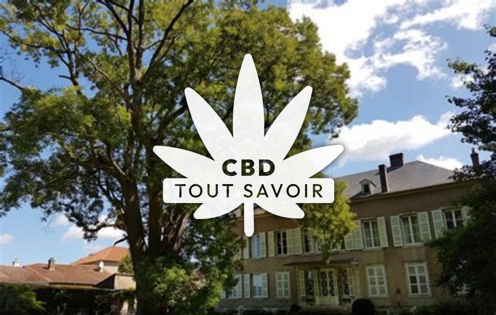 Village à Haraucourt-sur-Seille avec feuille Cannabis CBD