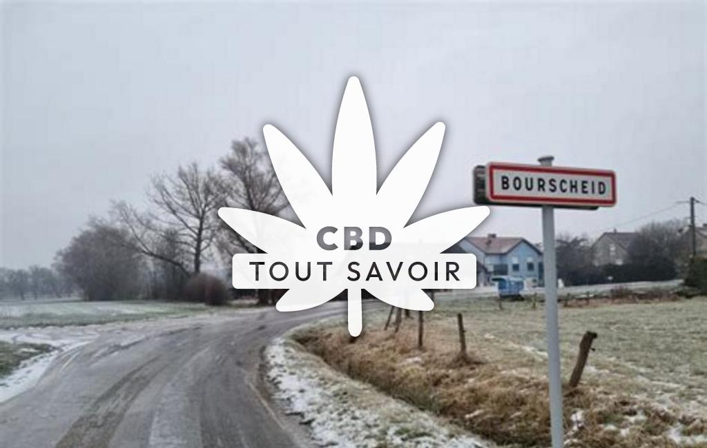 Village à Bickenholtz avec feuille Cannabis CBD