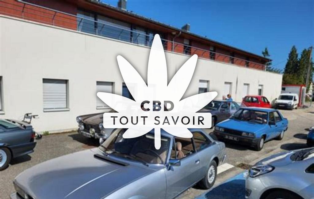 Village à Vieux-Lixheim avec feuille Cannabis CBD