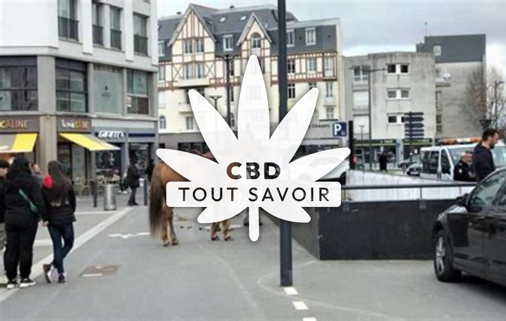 Village à Saint-Hubert avec feuille Cannabis CBD