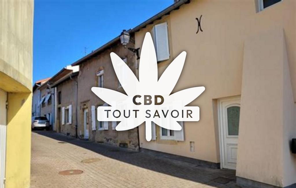 Village à Vigy avec feuille Cannabis CBD
