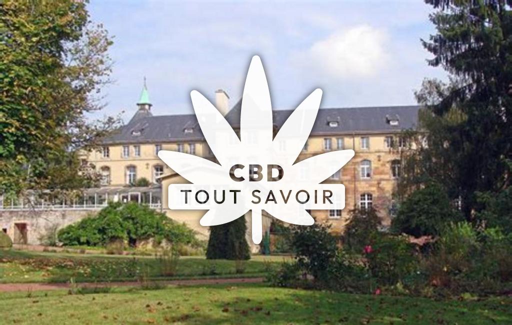 Village à Lixing-les-Saint-Avold avec feuille Cannabis CBD