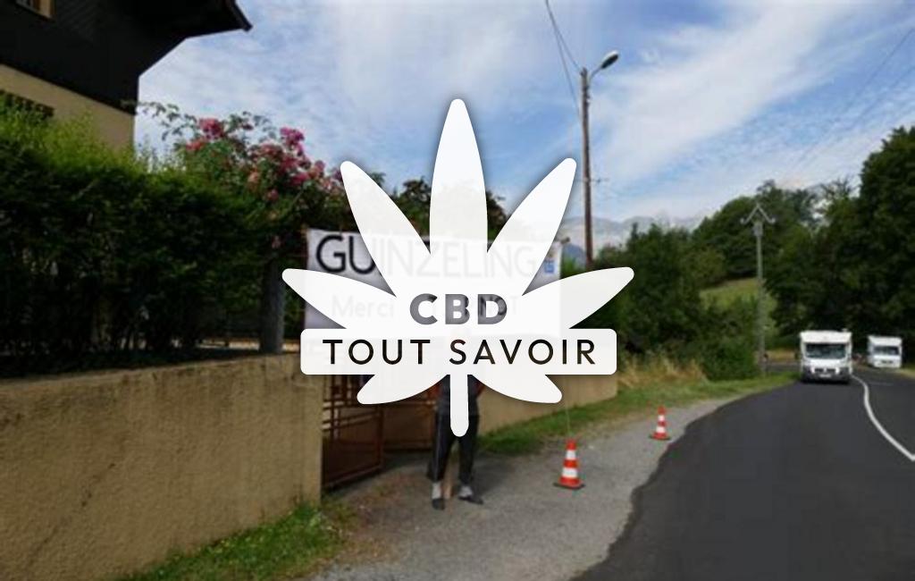 Village à Guinzeling avec feuille Cannabis CBD