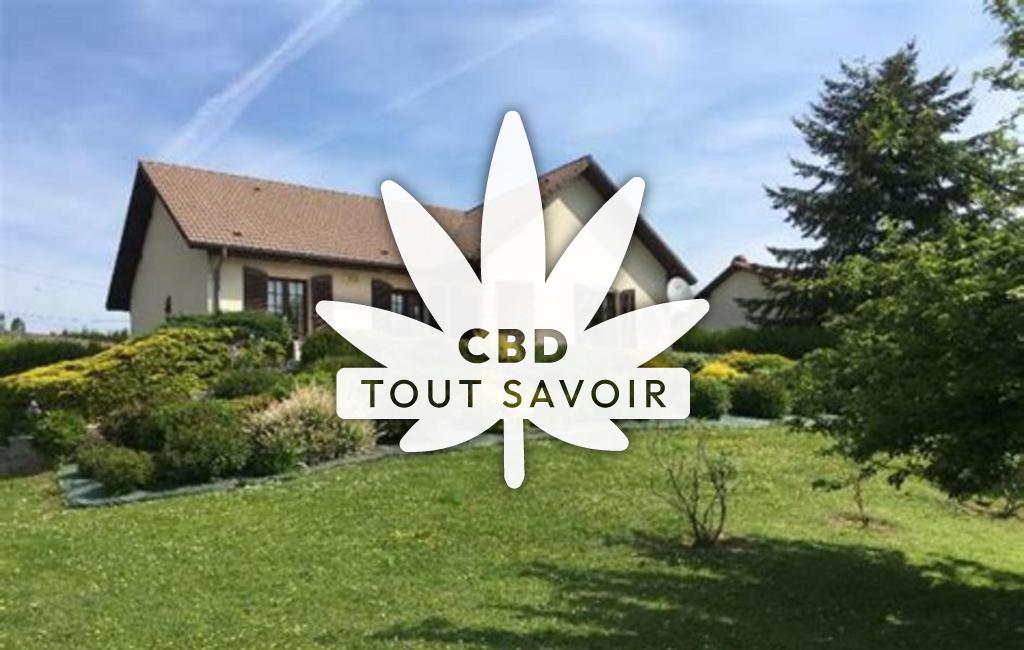 Village à Zimming avec feuille Cannabis CBD