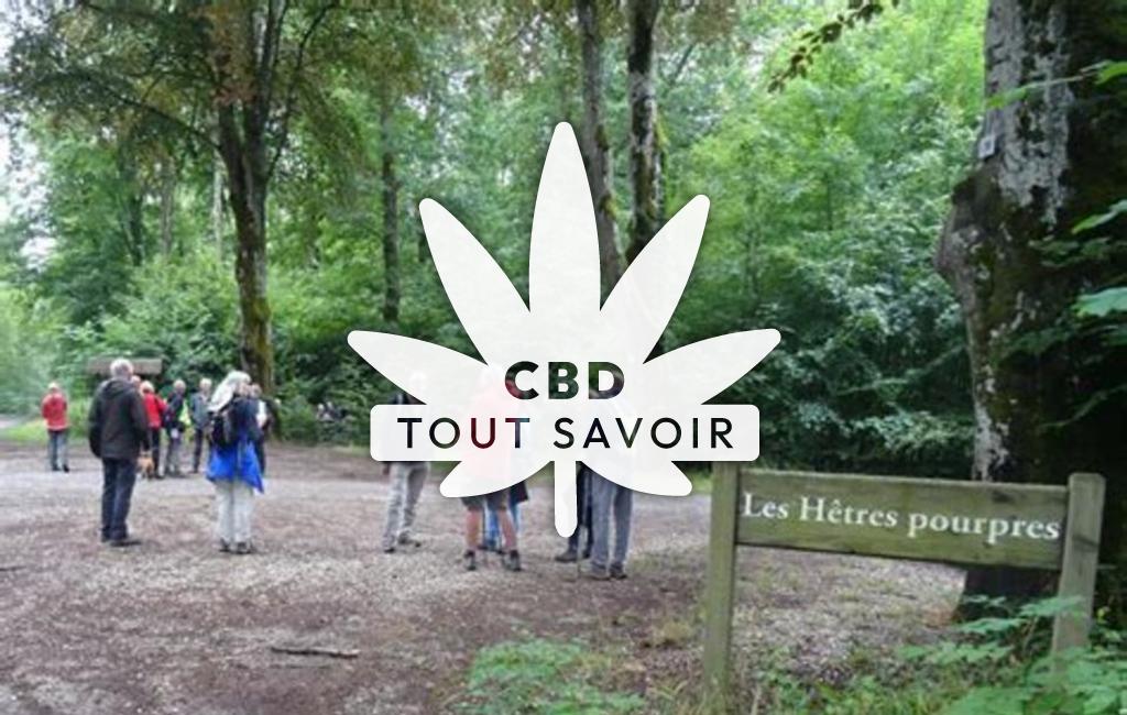 Village à Ranguevaux avec feuille Cannabis CBD