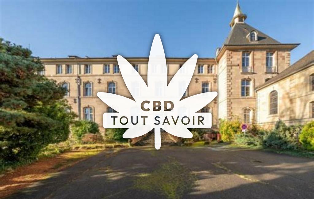 Village à Longeville-les-Saint-Avold avec feuille Cannabis CBD