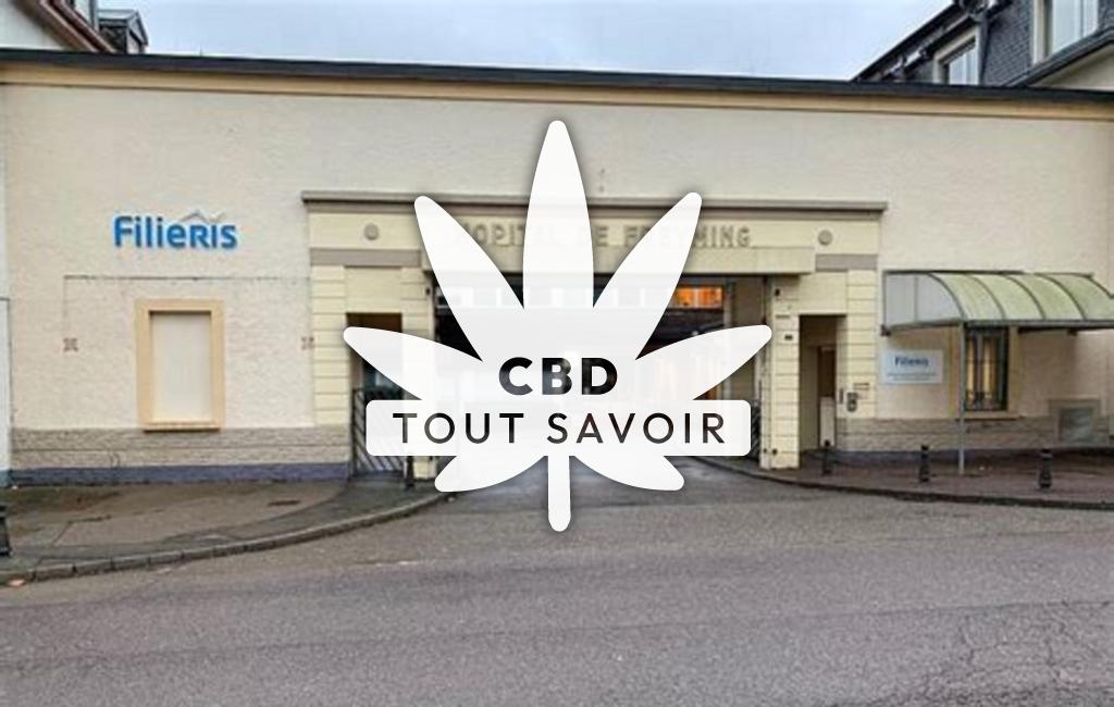 Village à Freyming-Merlebach avec feuille Cannabis CBD