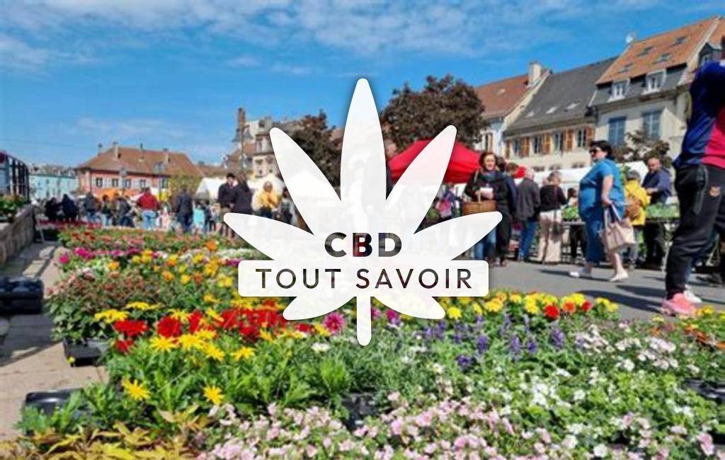 Village à Azoudange avec feuille Cannabis CBD