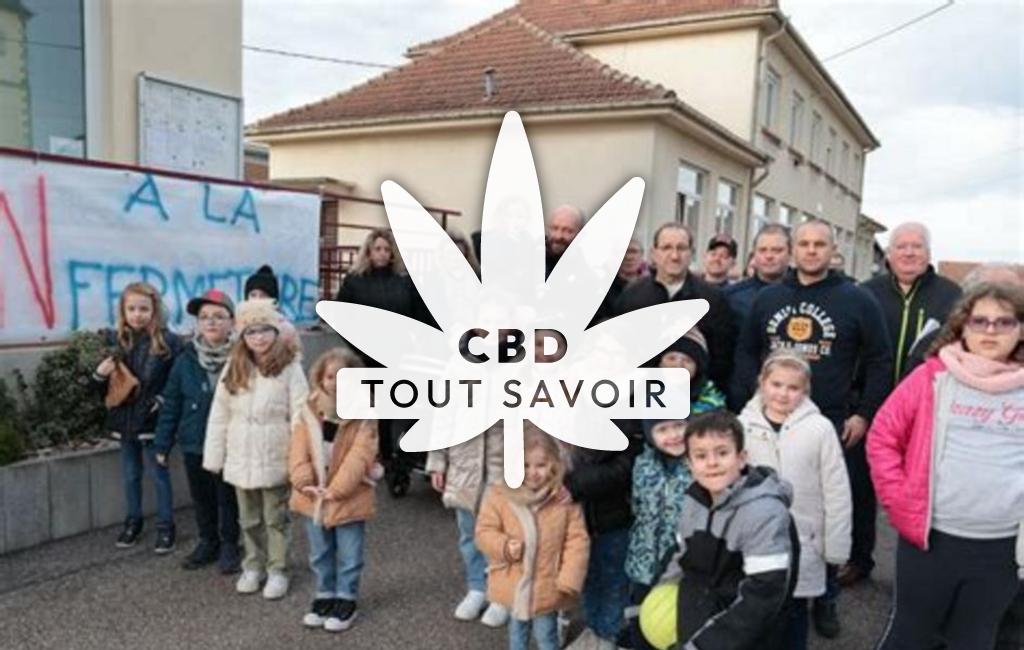 Village à Gondrexange avec feuille Cannabis CBD