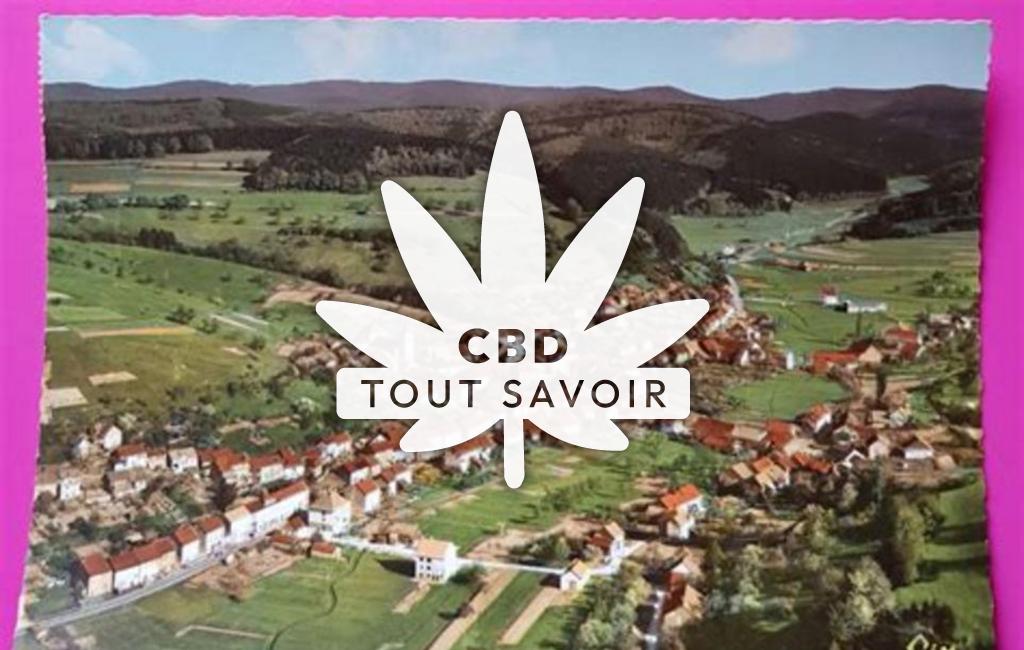 Village à Walscheid avec feuille Cannabis CBD