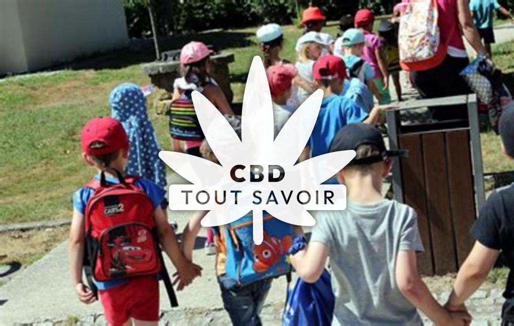 Village à Buding avec feuille Cannabis CBD