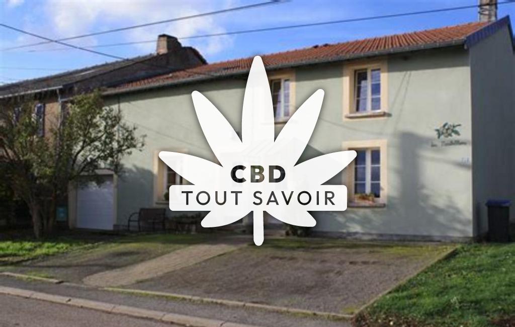 Village à Monneren avec feuille Cannabis CBD