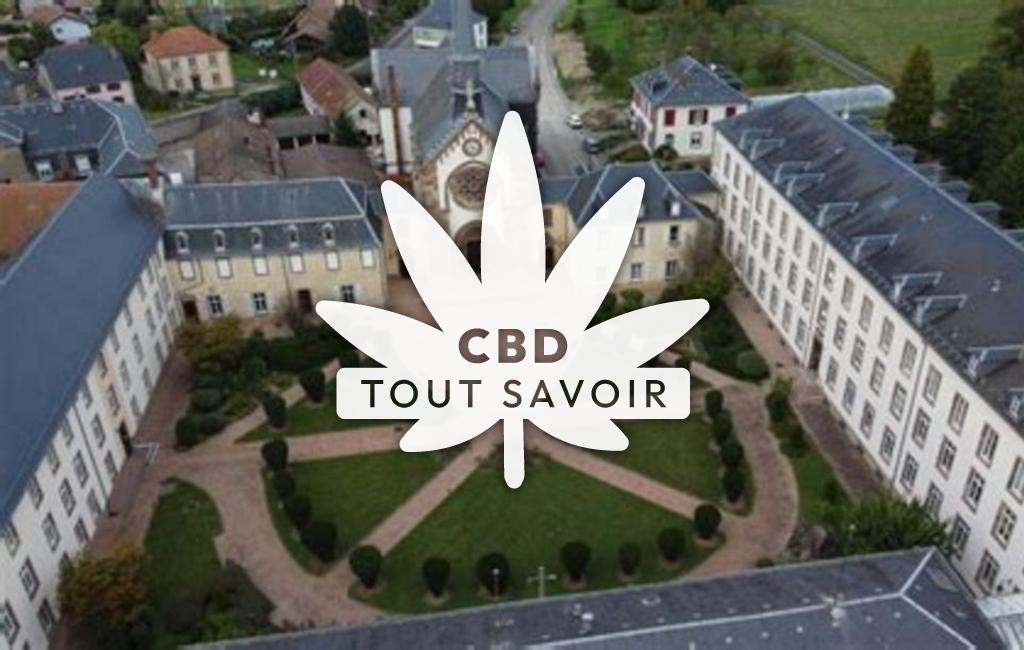 Village à Saint-Jean-de-Bassel avec feuille Cannabis CBD