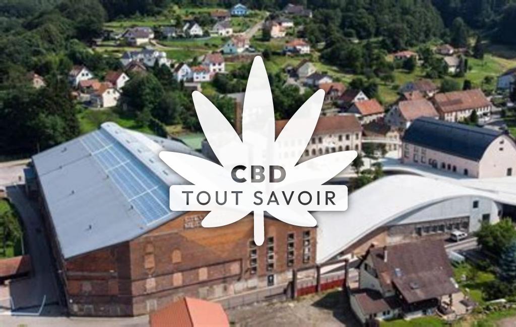 Village à Meisenthal avec feuille Cannabis CBD