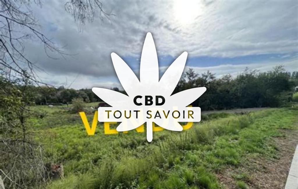 Village à Oudrenne avec feuille Cannabis CBD