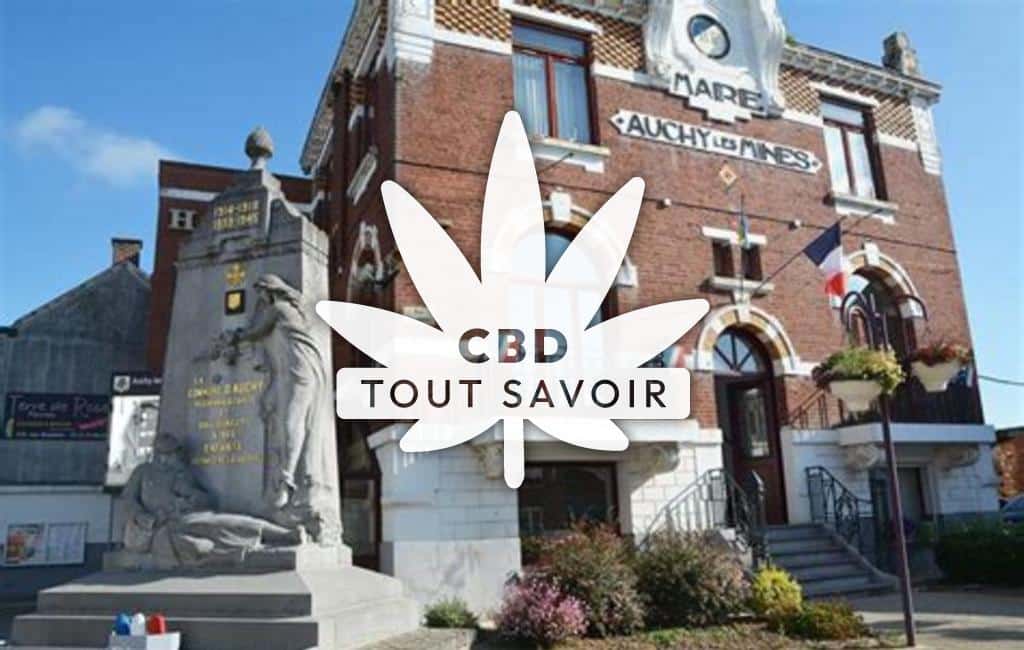 Village à Auchy-les-Mines avec feuille Cannabis CBD