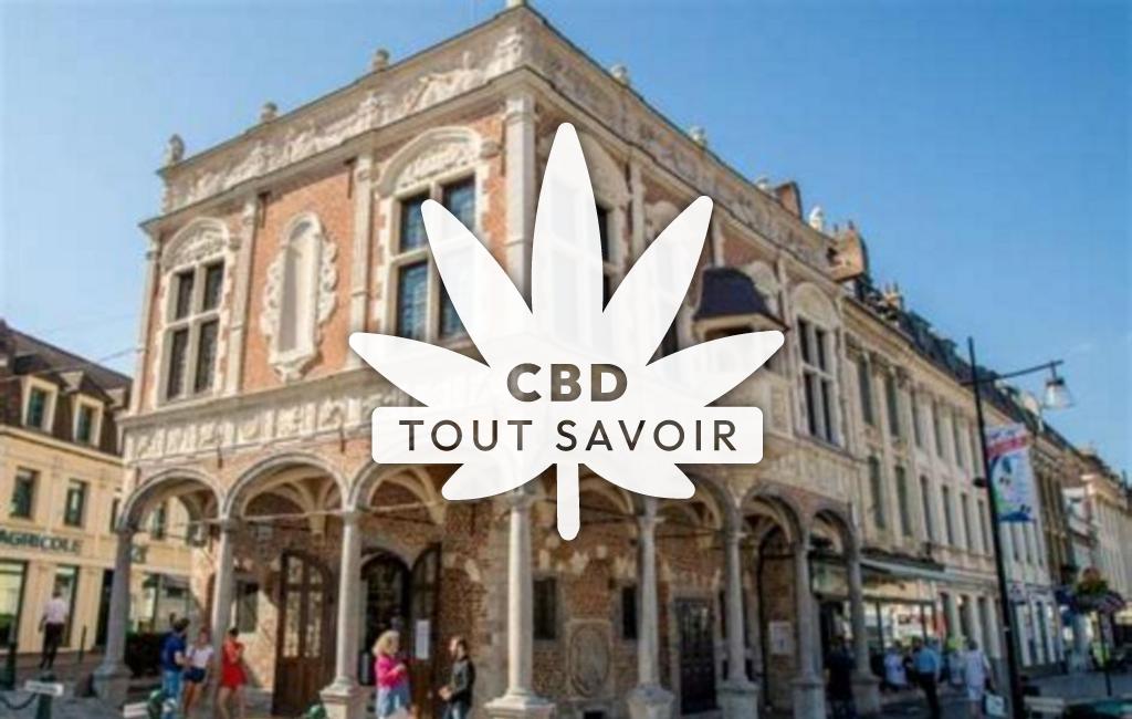 Village à Therouanne avec feuille Cannabis CBD
