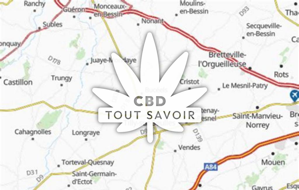 Village à Tilly-Capelle avec feuille Cannabis CBD