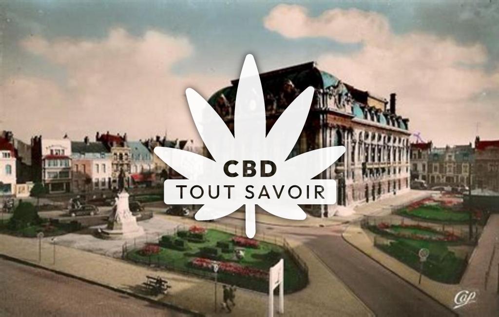 Village à Saint-Tricat avec feuille Cannabis CBD