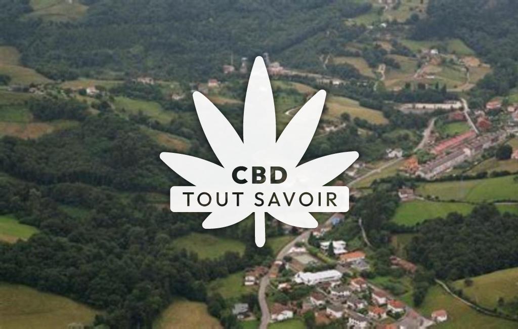Village à Lieres avec feuille Cannabis CBD