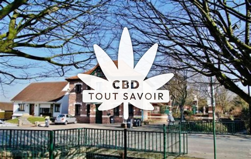 Village à Hesdigneul-les-Bethune avec feuille Cannabis CBD