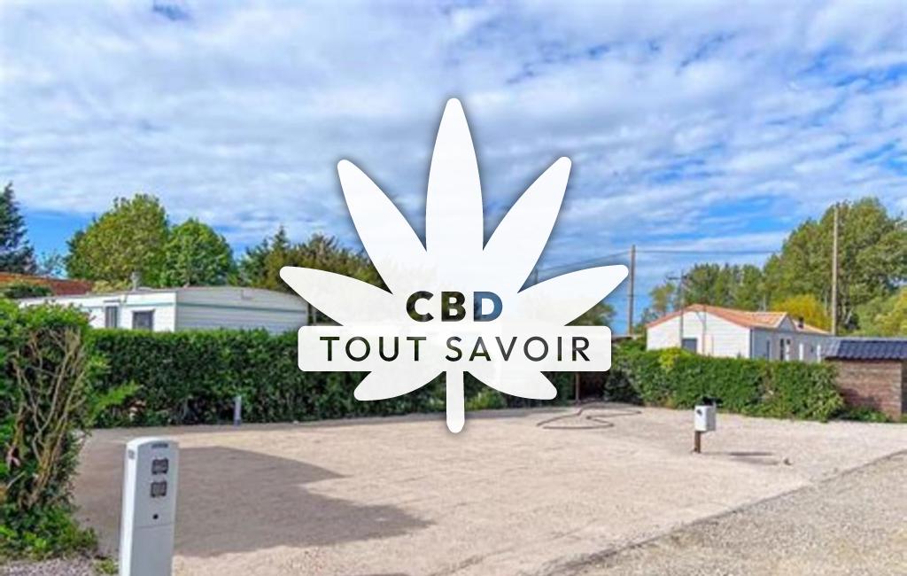 Village à Oye-Plage avec feuille Cannabis CBD