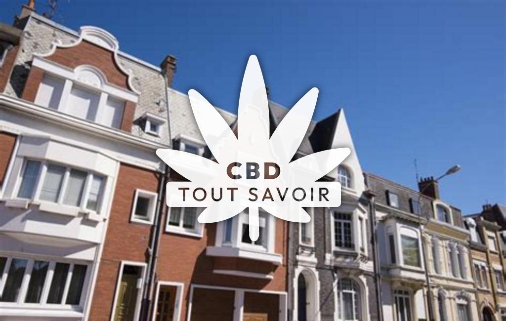 Village à Rebreuve-sur-Canche avec feuille Cannabis CBD