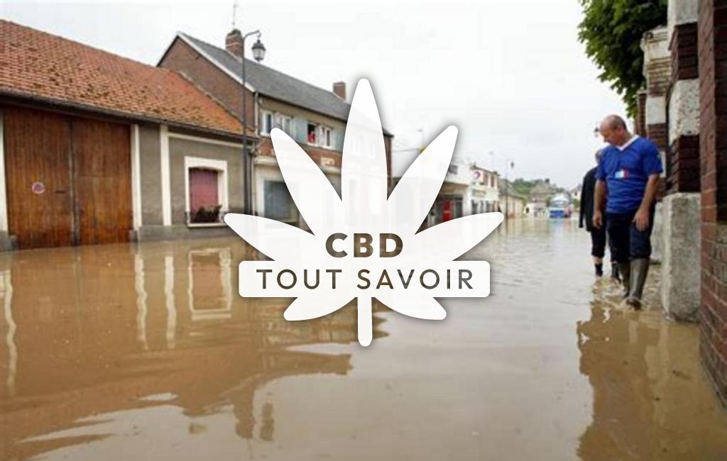 Village à Tramecourt avec feuille Cannabis CBD