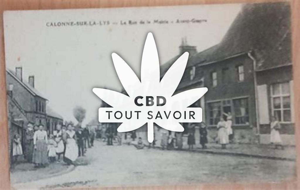 Village à Calonne-sur-la-Lys avec feuille Cannabis CBD