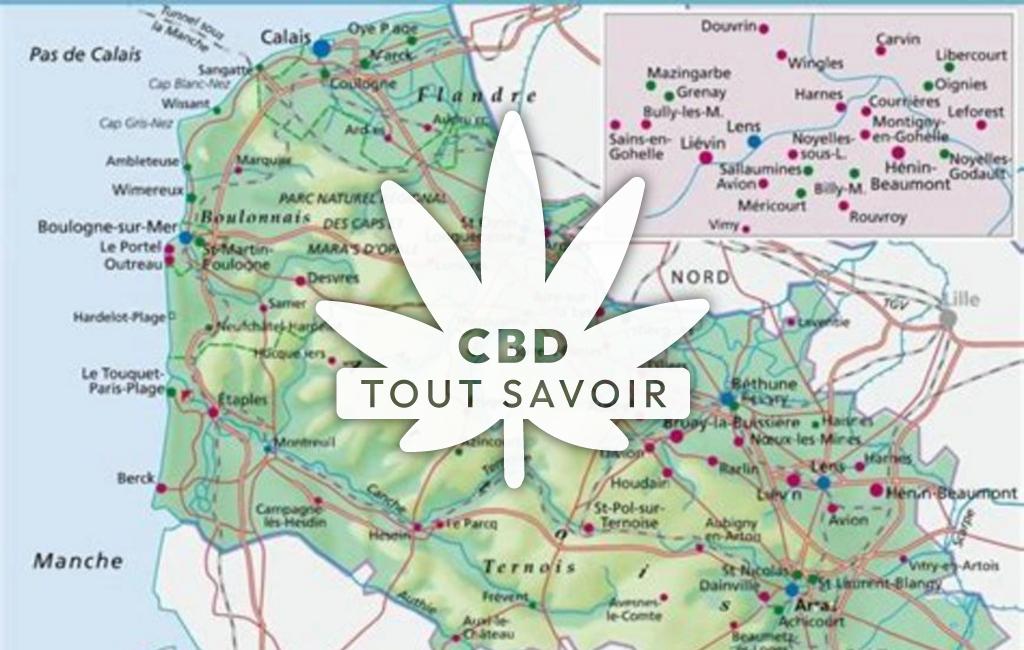Village à Sains-les-Pernes avec feuille Cannabis CBD