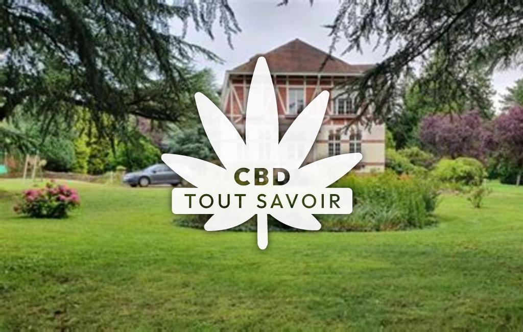 Village à Camblain-l'Abbe avec feuille Cannabis CBD
