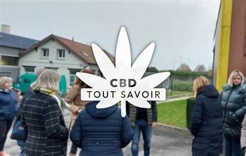 Village à Loos-en-Gohelle avec feuille Cannabis CBD