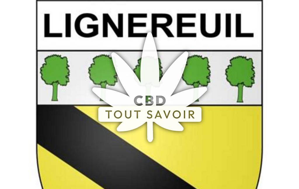 Village à Lignereuil avec feuille Cannabis CBD