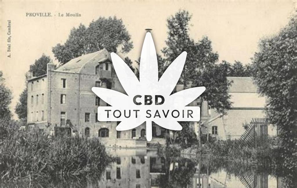 Village à Pronville-en-Artois avec feuille Cannabis CBD