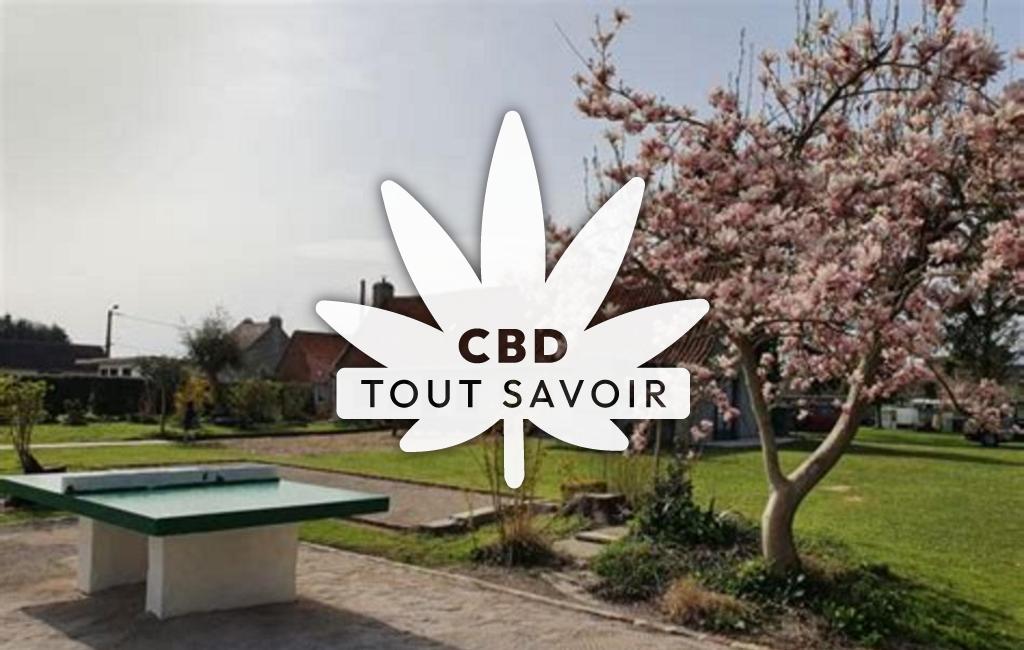 Village à Recques-sur-Hem avec feuille Cannabis CBD