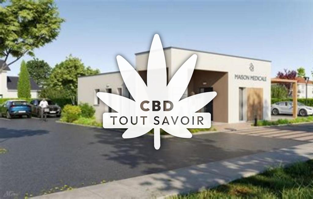 Village à Bayenghem-les-Eperlecques avec feuille Cannabis CBD