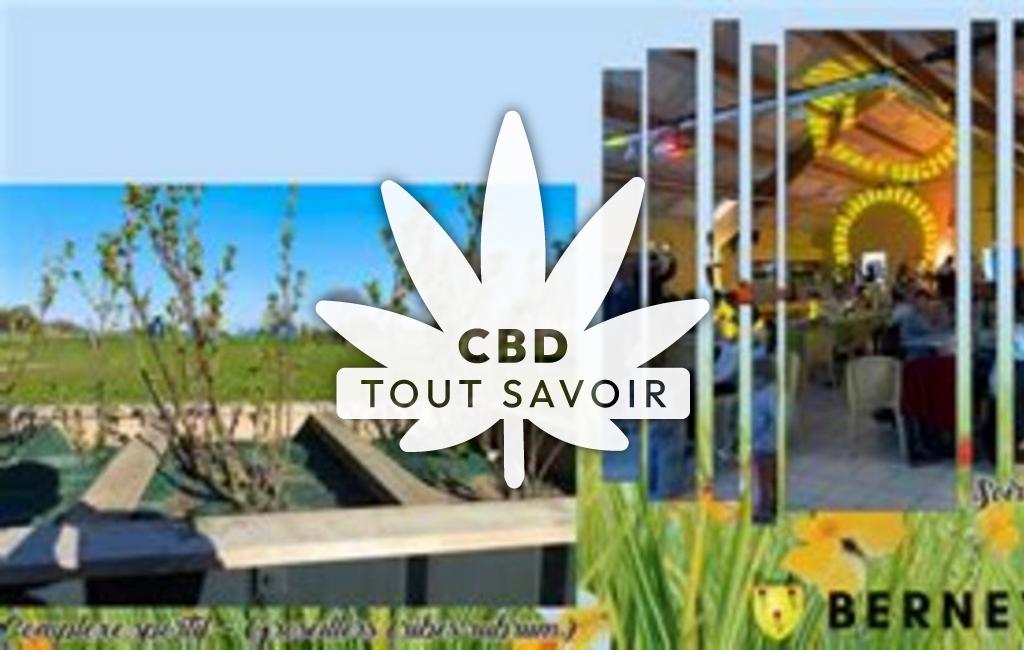 Village à Beaumetz-les-Aire avec feuille Cannabis CBD