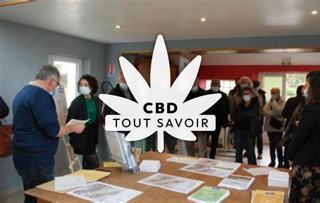 Village à Boubers-les-Hesmond avec feuille Cannabis CBD
