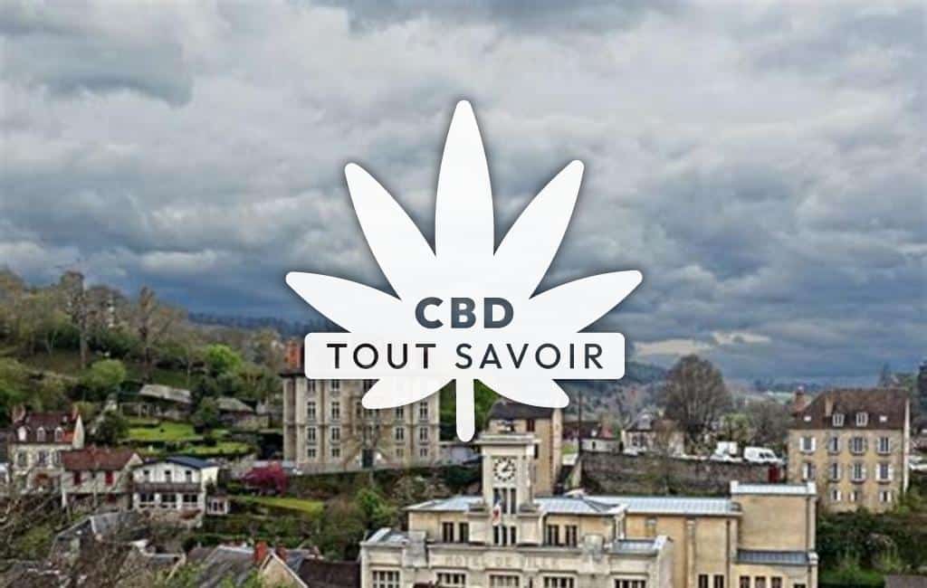 Village à Aubusson-D'Auvergne avec feuille Cannabis CBD