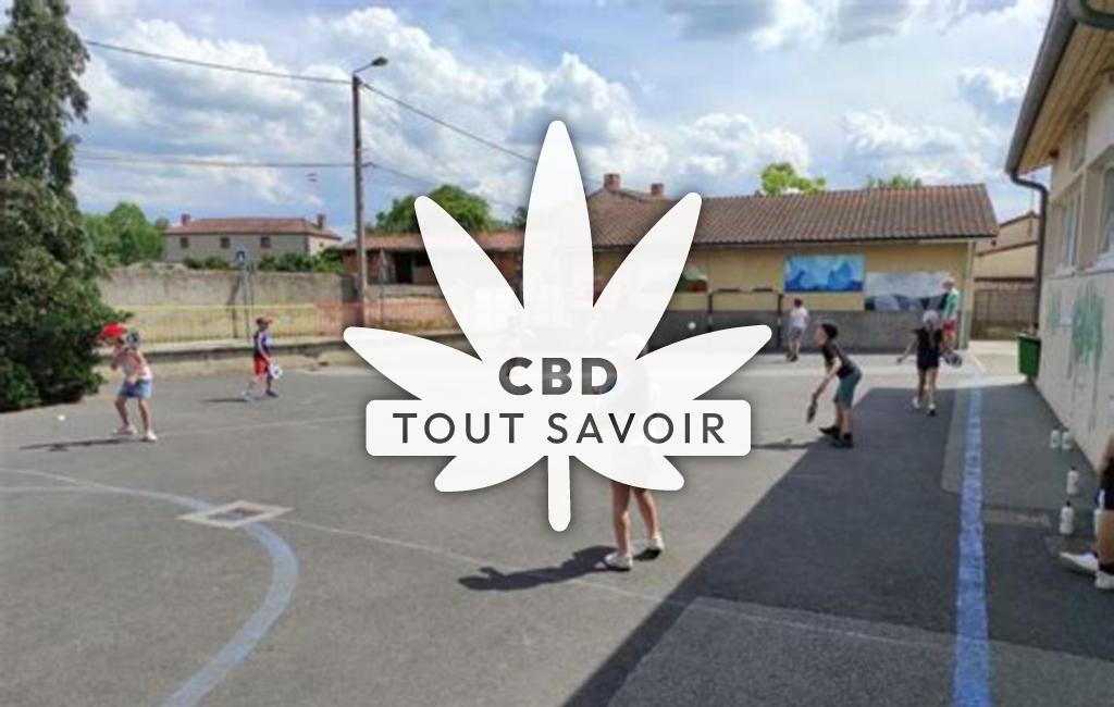 Village à Chambaron-sur-Morge avec feuille Cannabis CBD