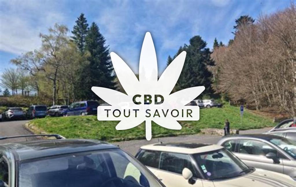 Village à Ceyssat avec feuille Cannabis CBD