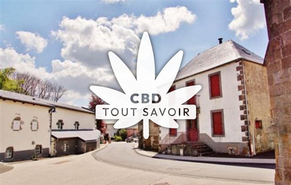 Village à Vernines avec feuille Cannabis CBD