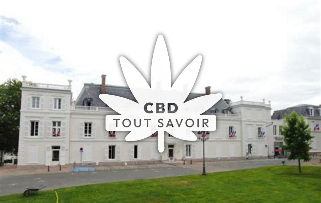 Village à Ris avec feuille Cannabis CBD